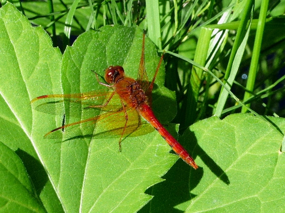 d0084473_2282127.jpg
