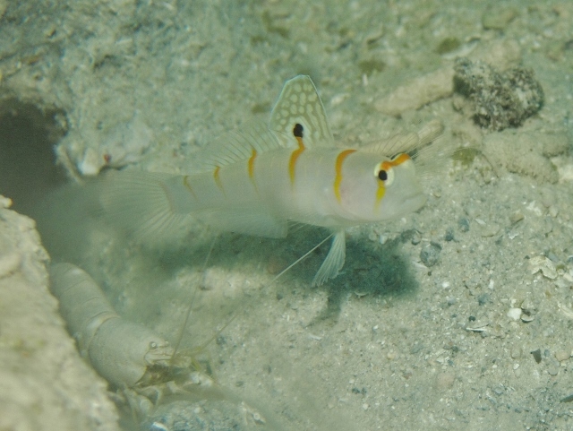 f0200373_21504670.jpg