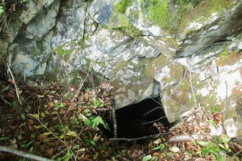 f0075075_1949482.jpg