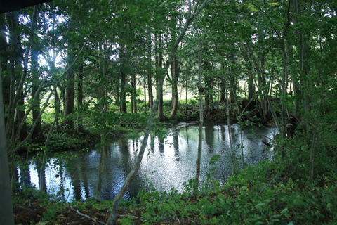 f0075075_19535790.jpg