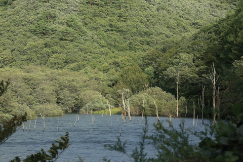 f0075075_2001567.jpg