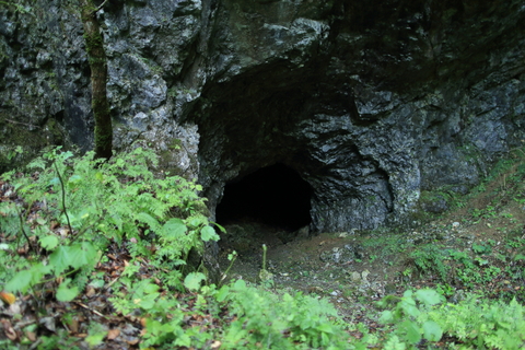 f0075075_2043224.jpg