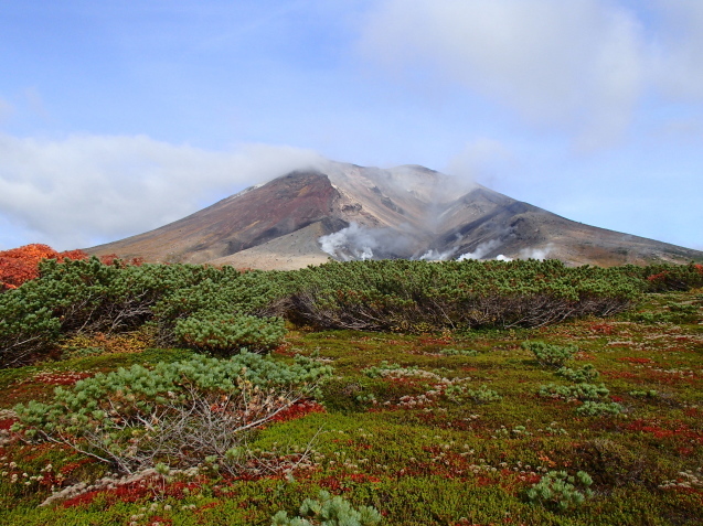 f0130376_08531639.jpg