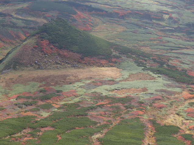 f0130376_08581073.jpg