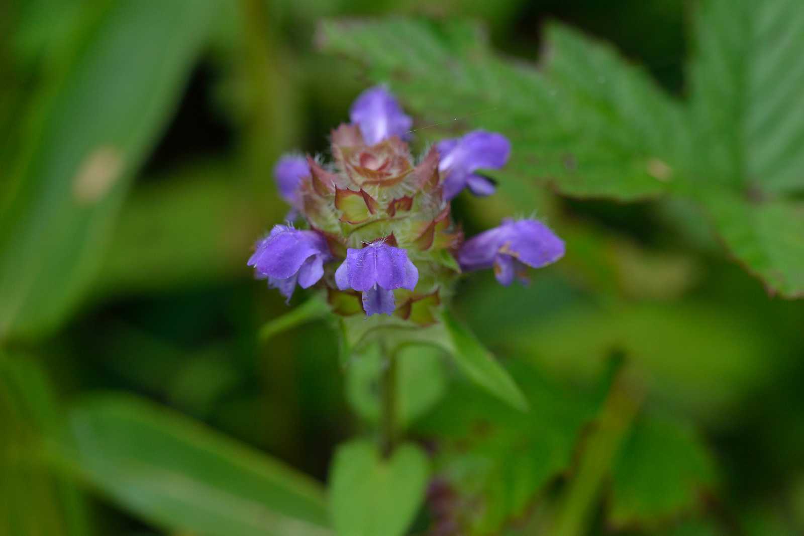 d0328977_20230260.jpg