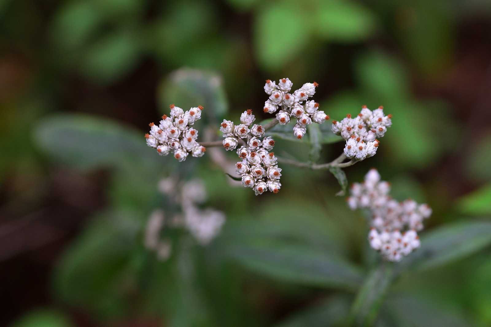 d0328977_20255126.jpg