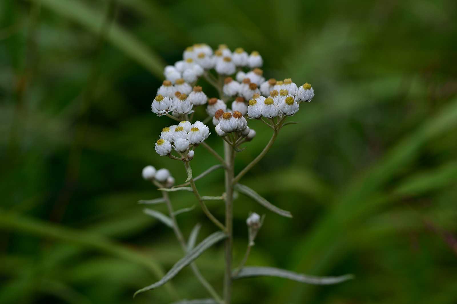 d0328977_20255132.jpg