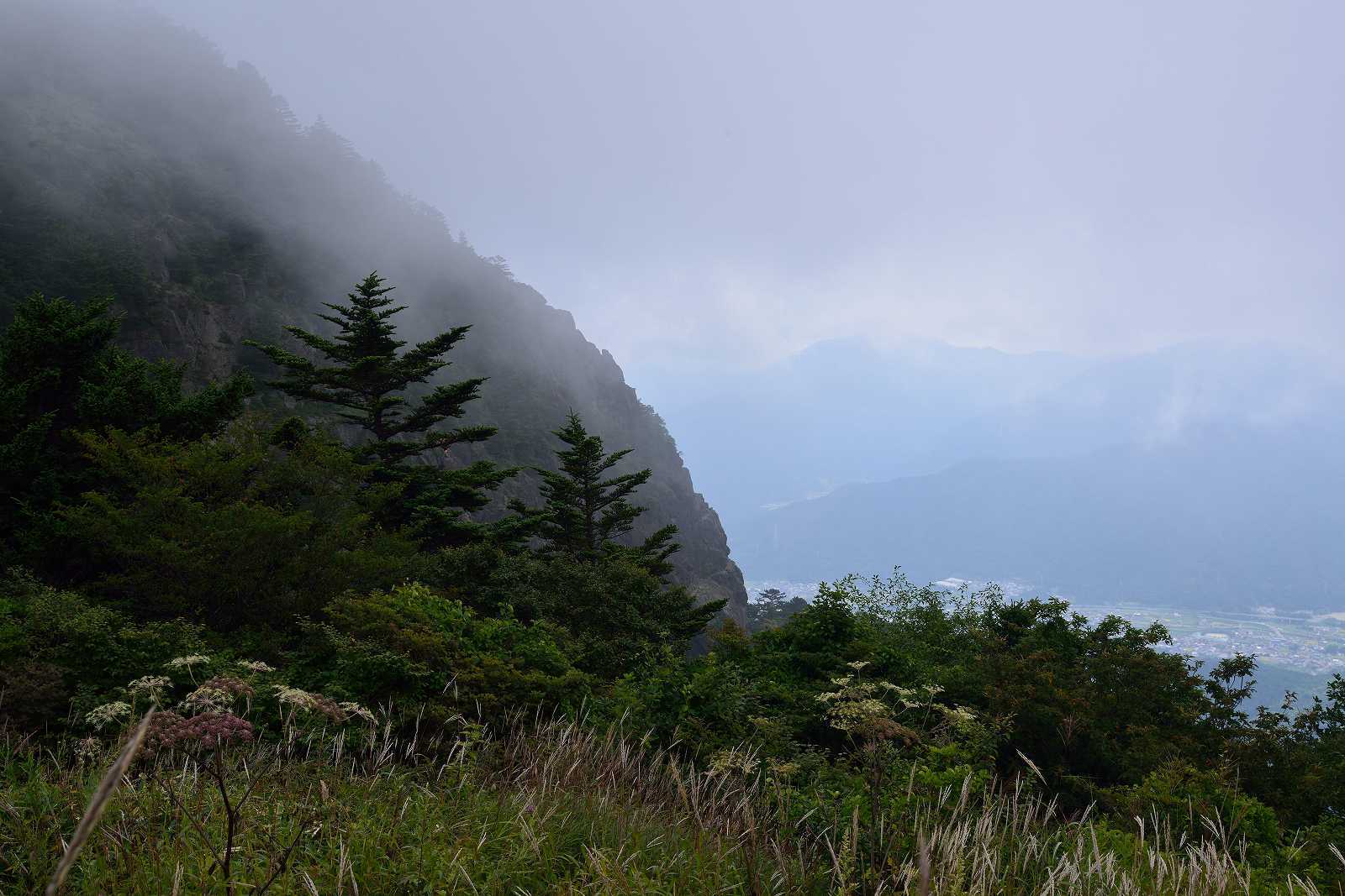d0328977_20272900.jpg