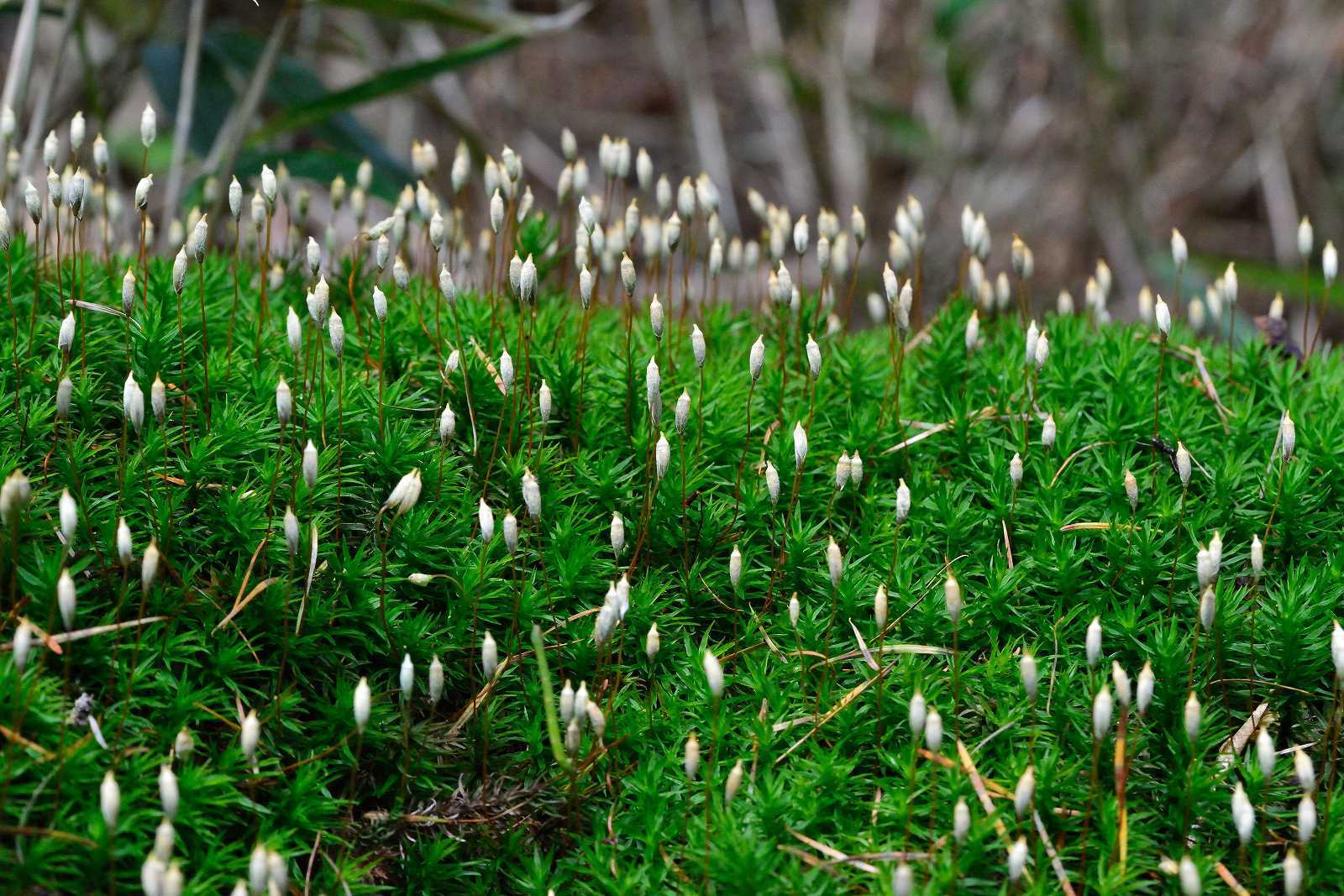 d0328977_23021628.jpg