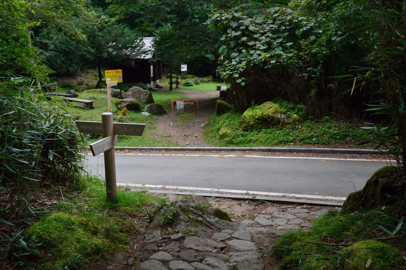 d0328977_23095177.jpg