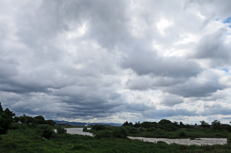b0137083_18245450.jpg
