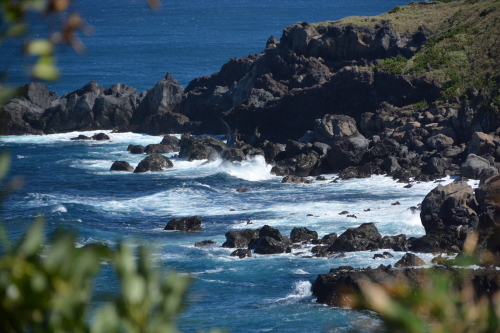 c0204385_22042178.jpg