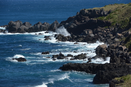 c0204385_22065601.jpg
