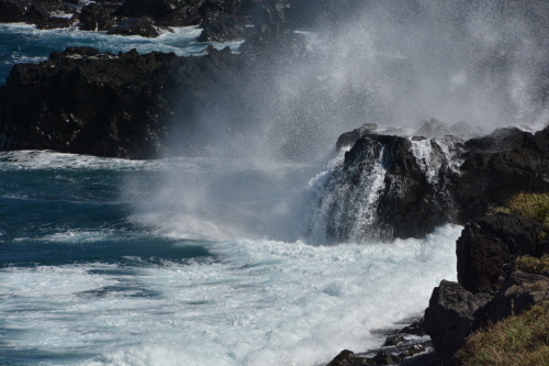 c0204385_22091645.jpg
