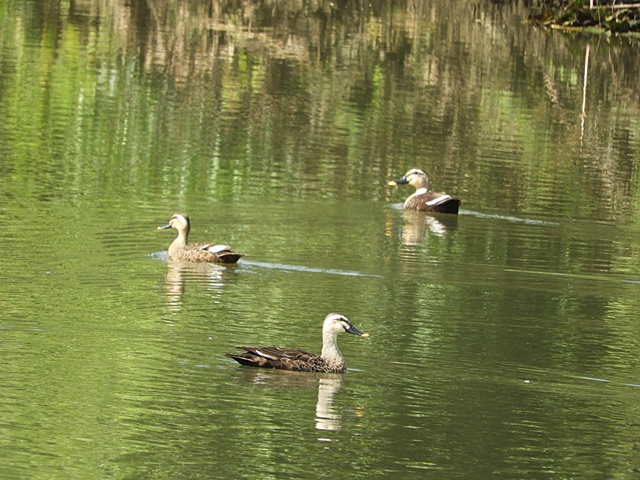 f0357487_2211649.jpg