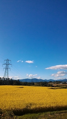 b0180494_20523589.jpg