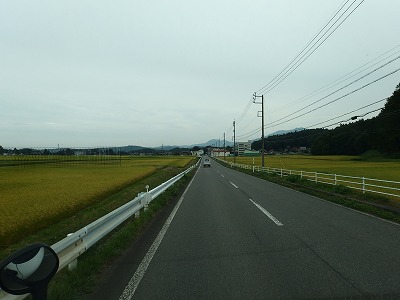 d0074596_219579.jpg