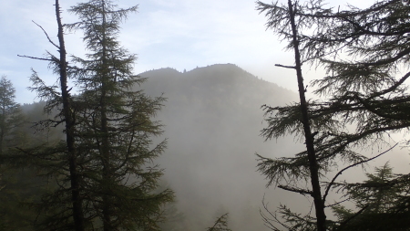 e0120896_07375561.jpg