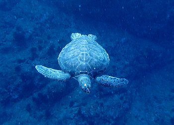 f0079996_14431015.jpg