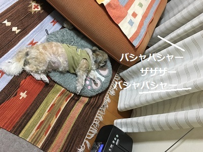 f0372998_23075525.jpg