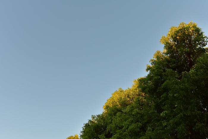 c0049299_21101944.jpg