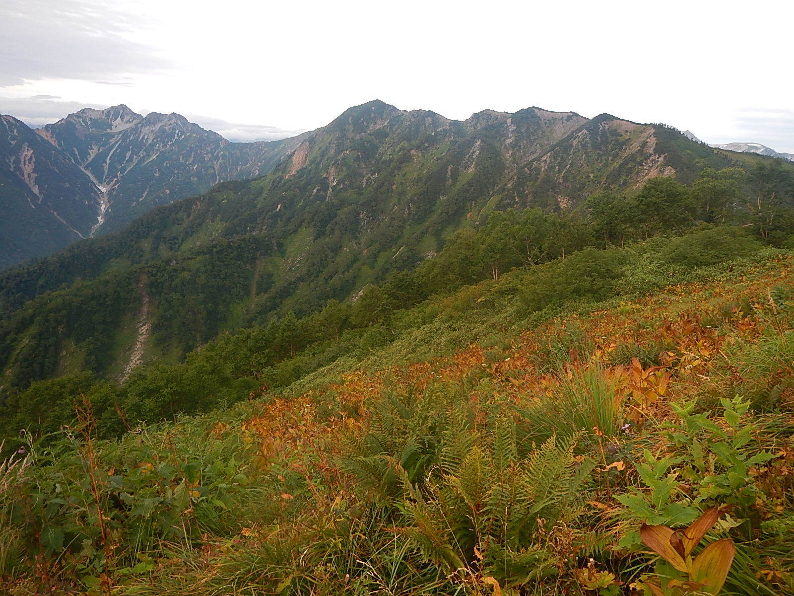 d0296106_14181955.jpg