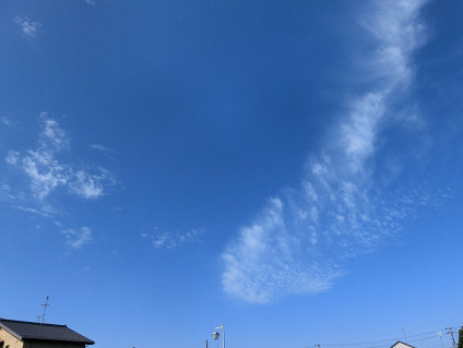 a0345107_16285527.jpg