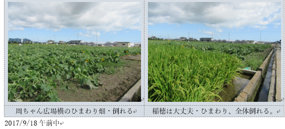 f0231709_02575021.png