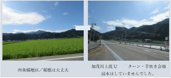 f0231709_20453416.png
