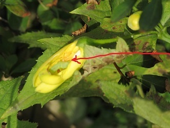 f0325309_19003607.jpg