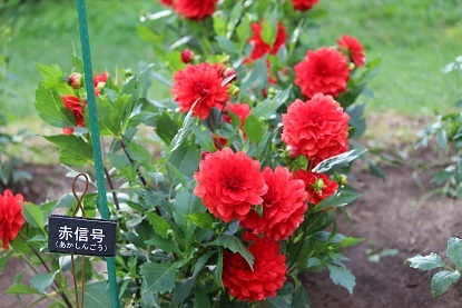 f0325309_19010909.jpg