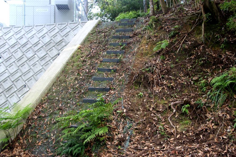 f0212511_23001622.jpg