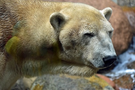 a0151913_3521062.jpg