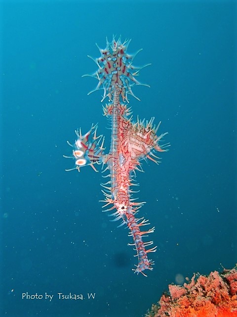 c0211615_15473917.jpg