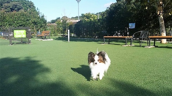 e0190220_07404532.jpg