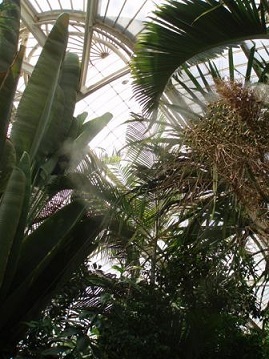 c0311729_17341255.jpg