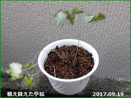 e0033229_18274383.jpg