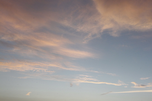 f0202529_146493.jpg