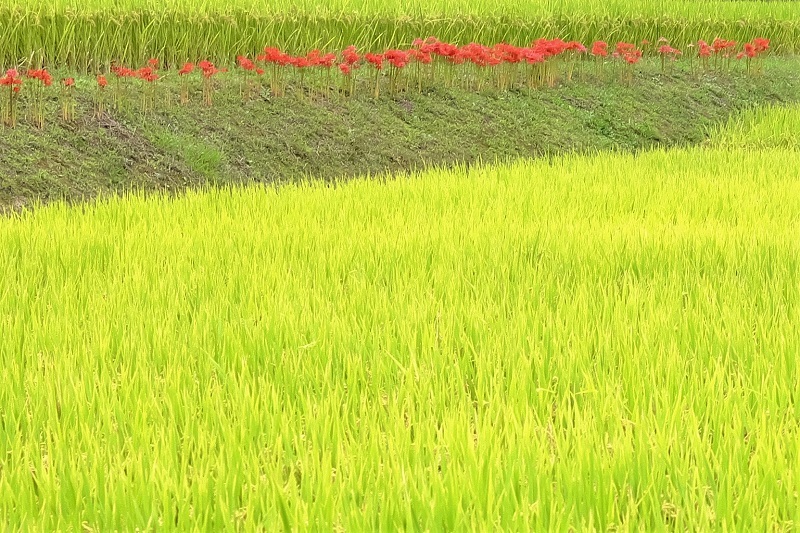 b0230131_08504401.jpg