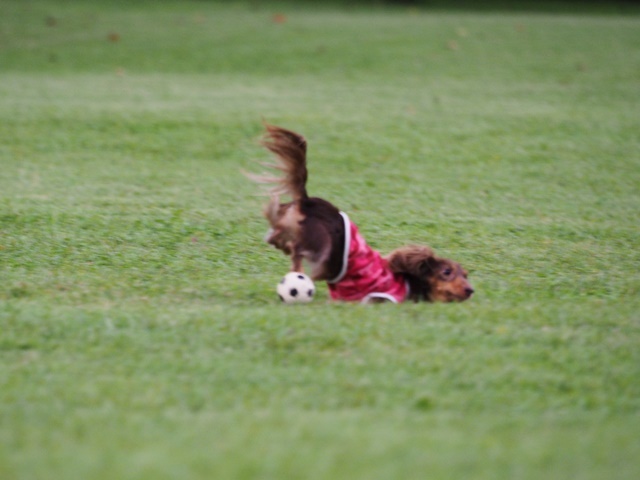 c0117831_14203671.jpg
