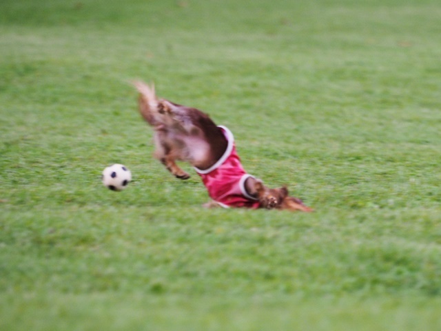 c0117831_14204335.jpg