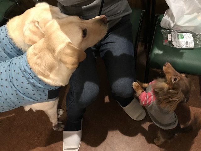 c0117831_15501634.jpg