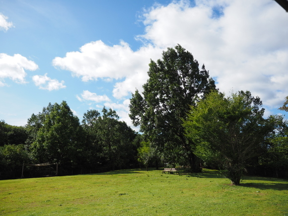 c0117831_16505095.jpg