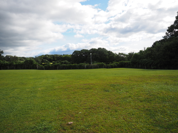c0117831_16510717.jpg
