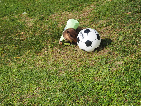 c0117831_16544128.jpg