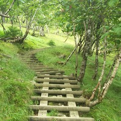 c0077338_06383345.jpg