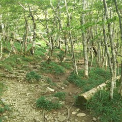 c0077338_06385462.jpg