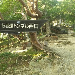 c0077338_06390358.jpg