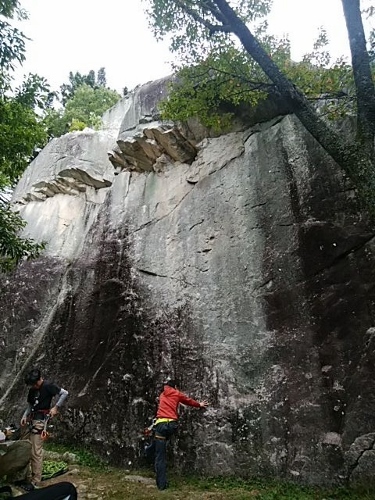 d0107938_10491814.jpg
