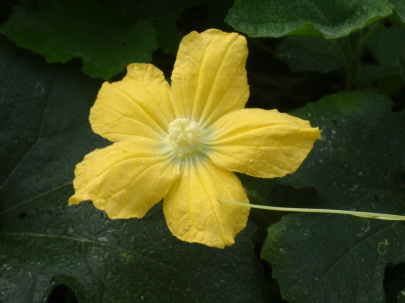 a0054240_21365341.jpg